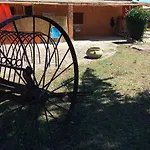 Il Profeta Capranica