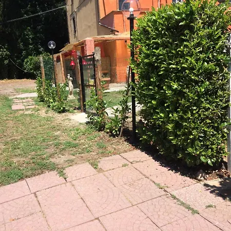 Il Profeta *