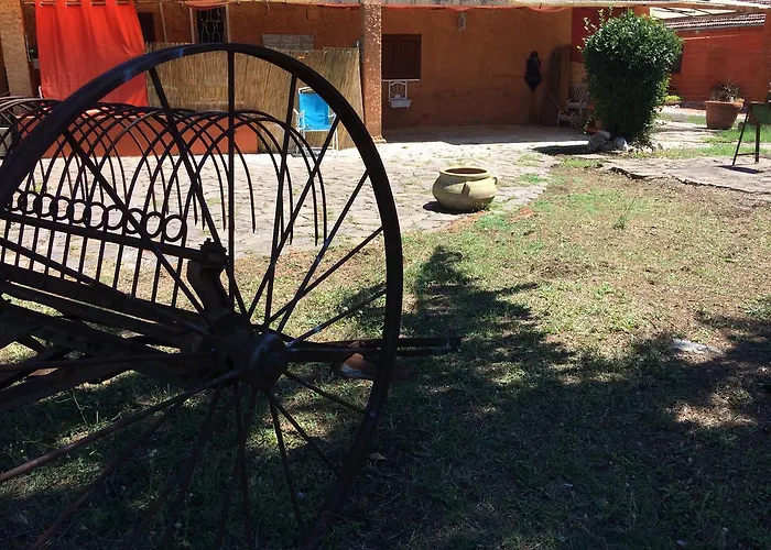 Il Profeta Capranica